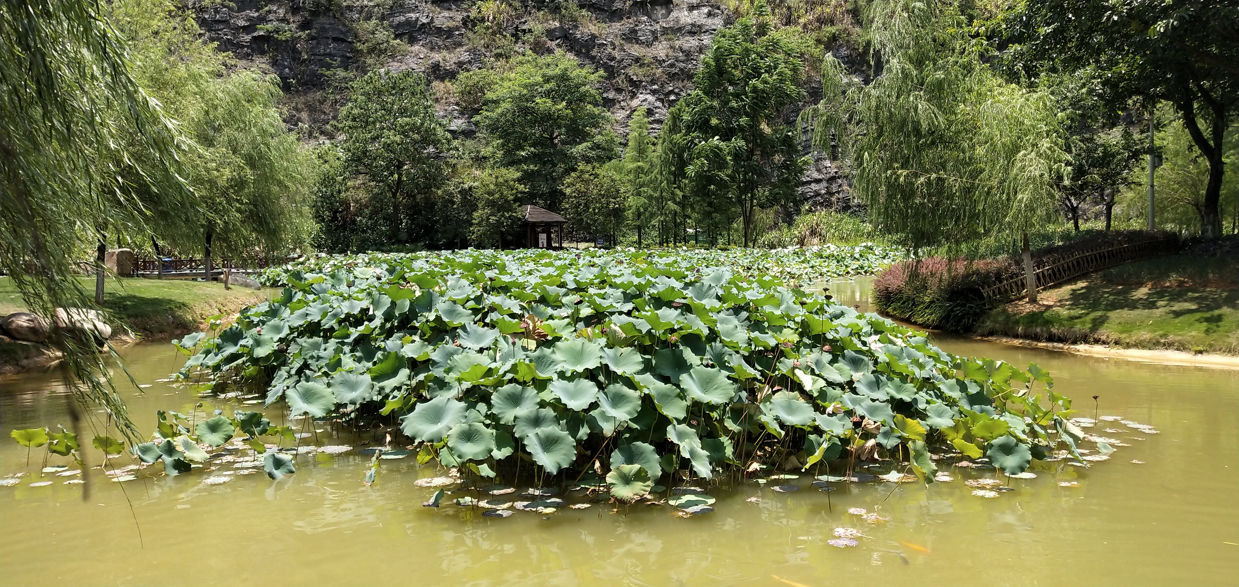 韶关旧貌与新貌,韶关生态环境与治理