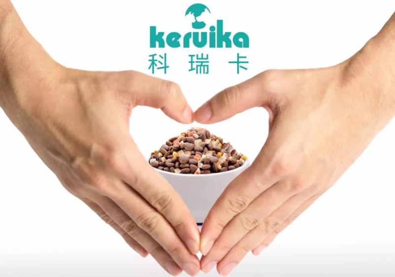 怎么让狗狗快速认识新主人,新到家的狗狗多久能训练