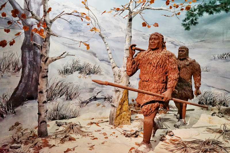 哈尔滨11月吃喝玩乐攻略,今夏哈尔滨旅游全攻略