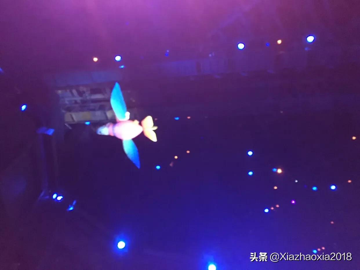 珠海长隆海洋王国一日游攻略路线,珠海长隆海洋王国一日游攻略图文