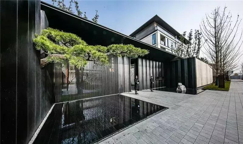 盘点郑州这些C位出道的热盘