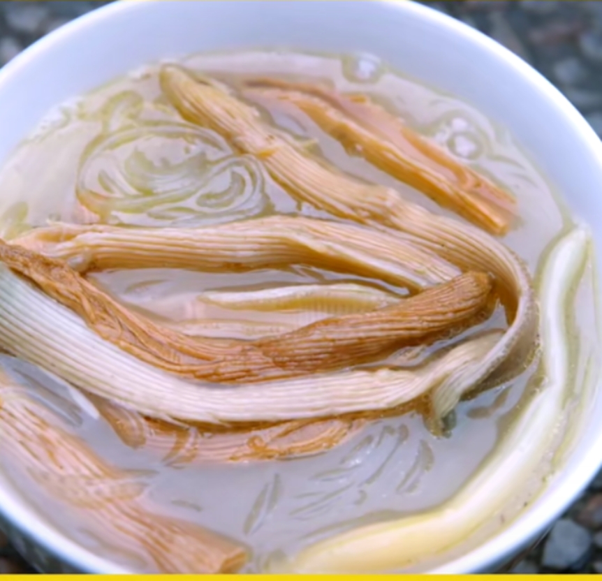 有关虫子的特色美食,美食虫子视频大全