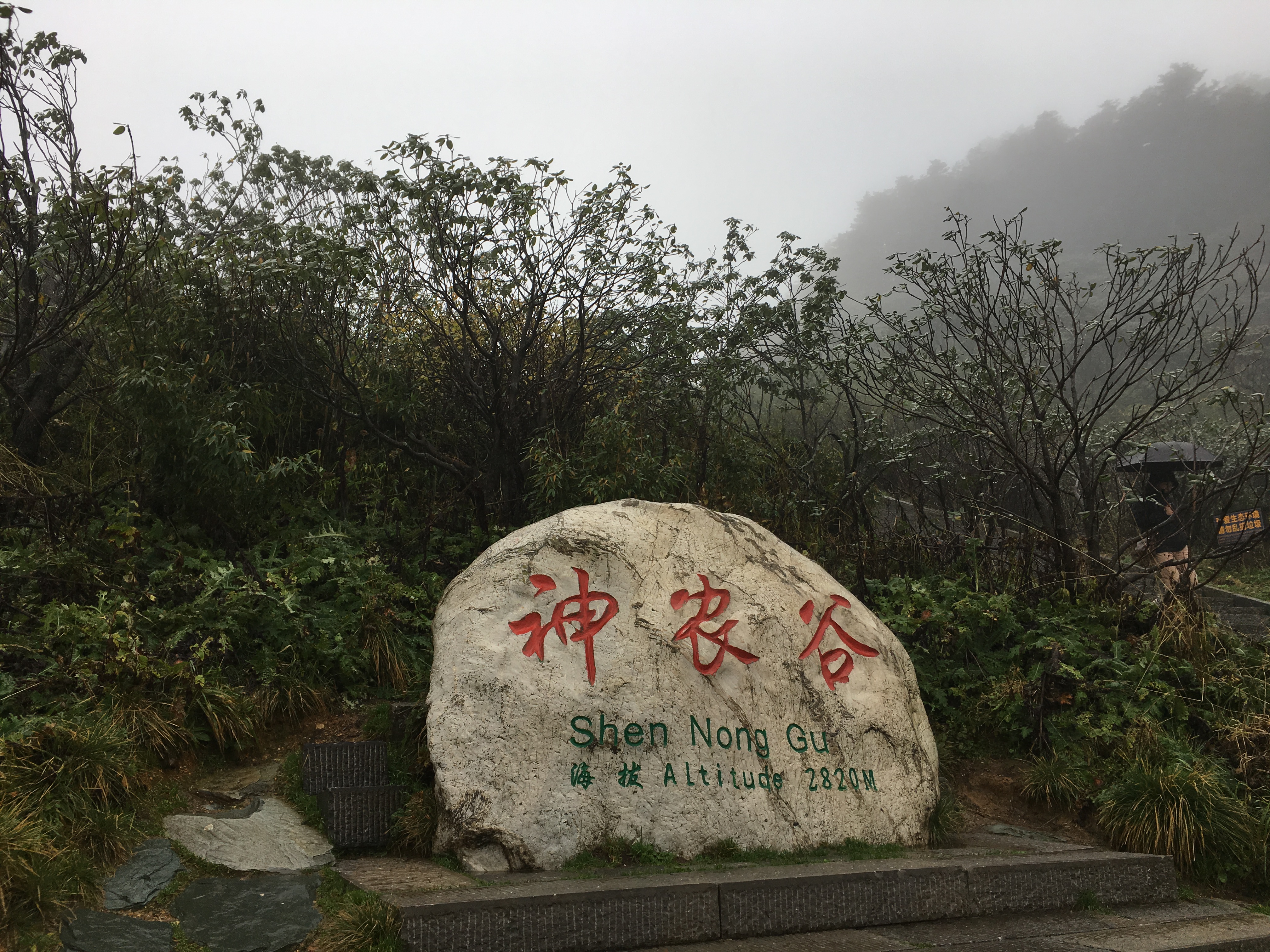 雨中神农架探秘之旅｜国庆节武汉至神农架自驾游攻略分享
