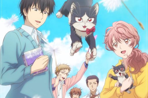 最萌新番,豆瓣8.8最佳纪录片女主