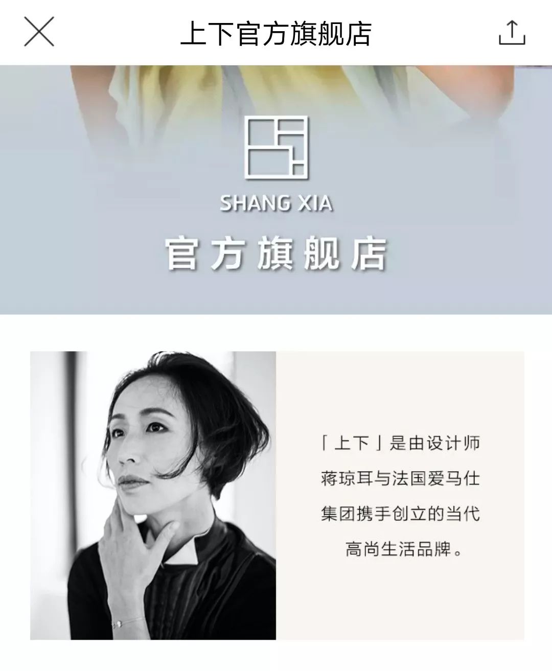 钻石鞋子价格表,2700万钻石鞋