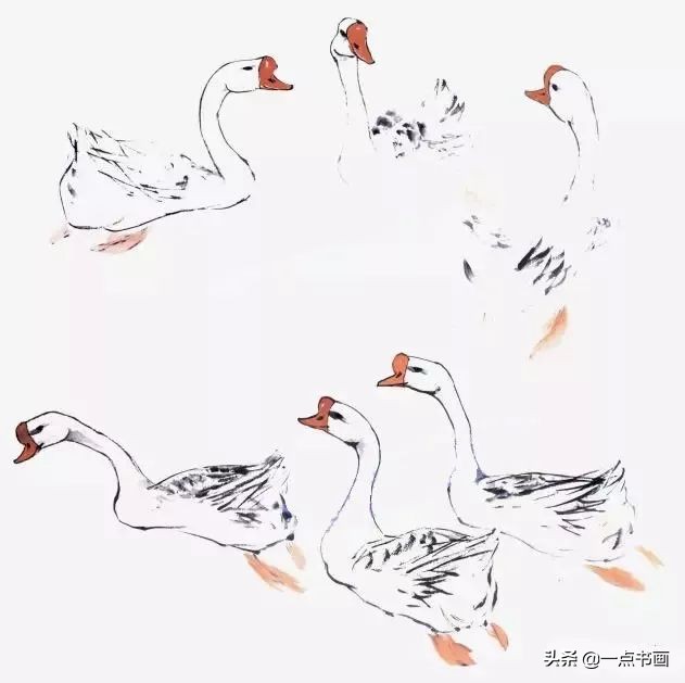 鹅画法可爱简单在陆地上行走,图文教程鹅写意画法
