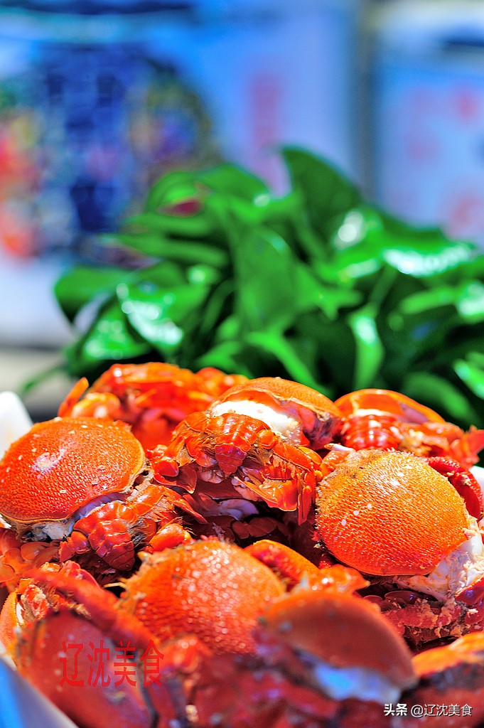 沈阳好吃的海鲜烤肉自助攻略,沈阳鲜羊烤全羊