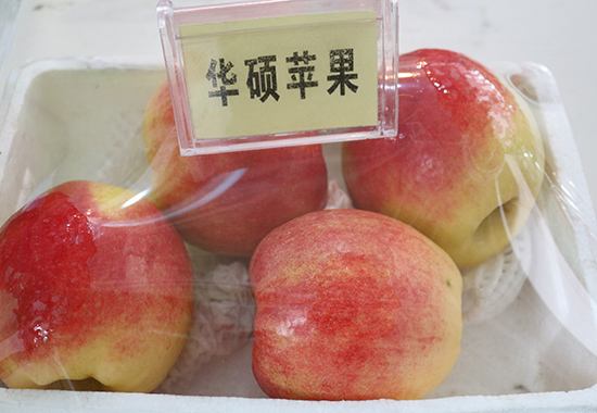 苹果优质品种树苗,苹果优良品种