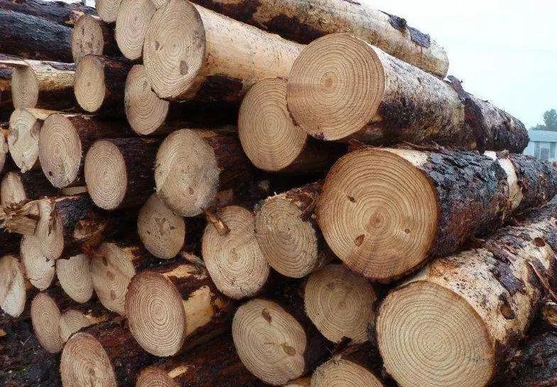 家具工厂原木怎样测量,木工建筑木材怎么识别