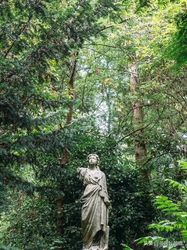 520/521：五月阳光下，伦敦依然盛放。记得常回来看看