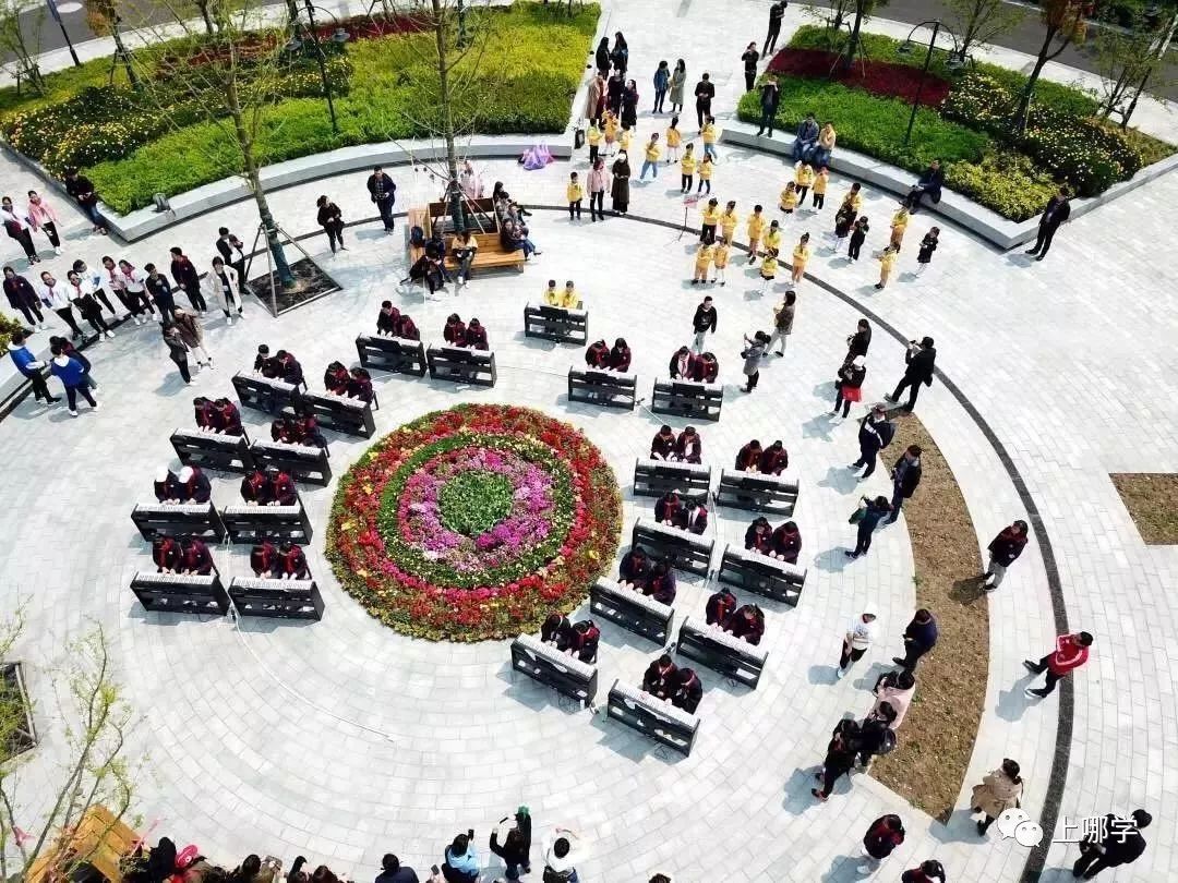 上海最好的十大民办初中,上海各区的顶级初中和一流初中