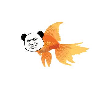 观赏鱼身上长出黑斑是怎么回事,观赏鱼身上起黑斑是怎么回事