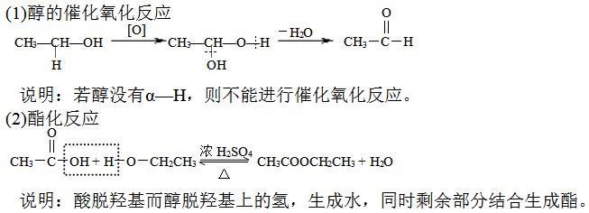 高中化学选修5醇酚知识点,高中化学乐乐课堂选修5