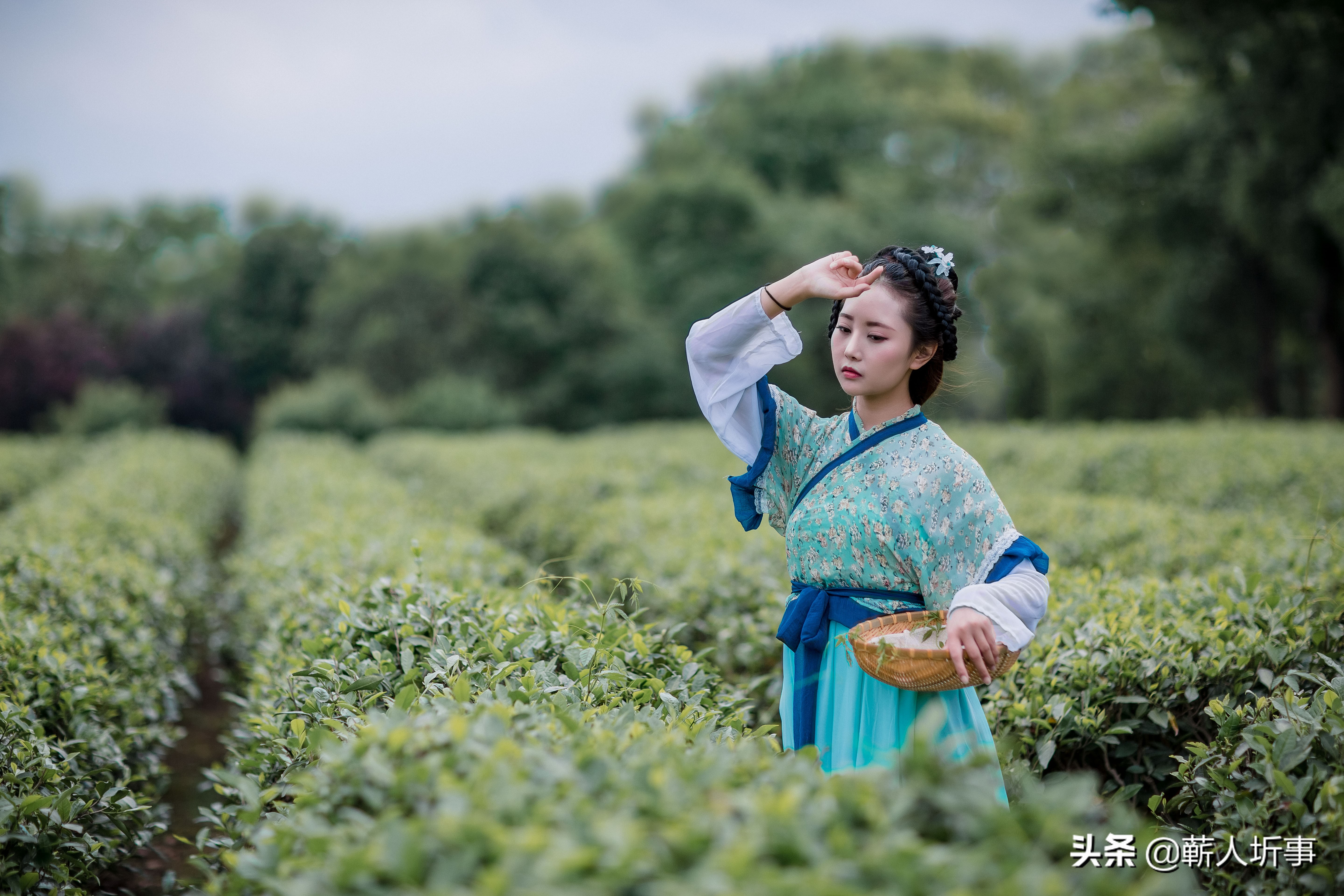 陈如诗词丨卷叶秋风瘦，吹开月上黄
