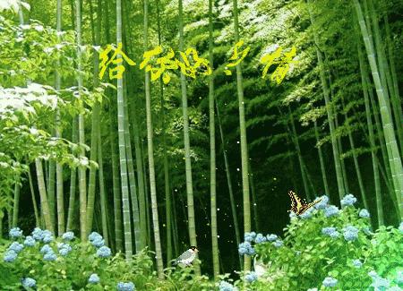 4月1日愚人节的祝福语,4.1日愚人节怎么来的