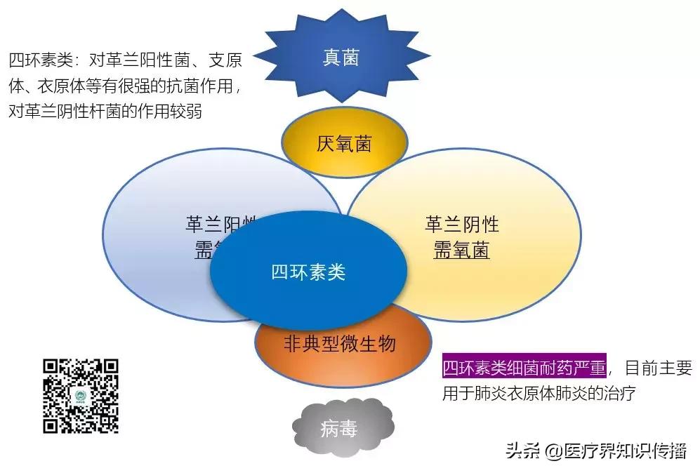 抗菌药谱大全及图片,抗菌谱图解大全
