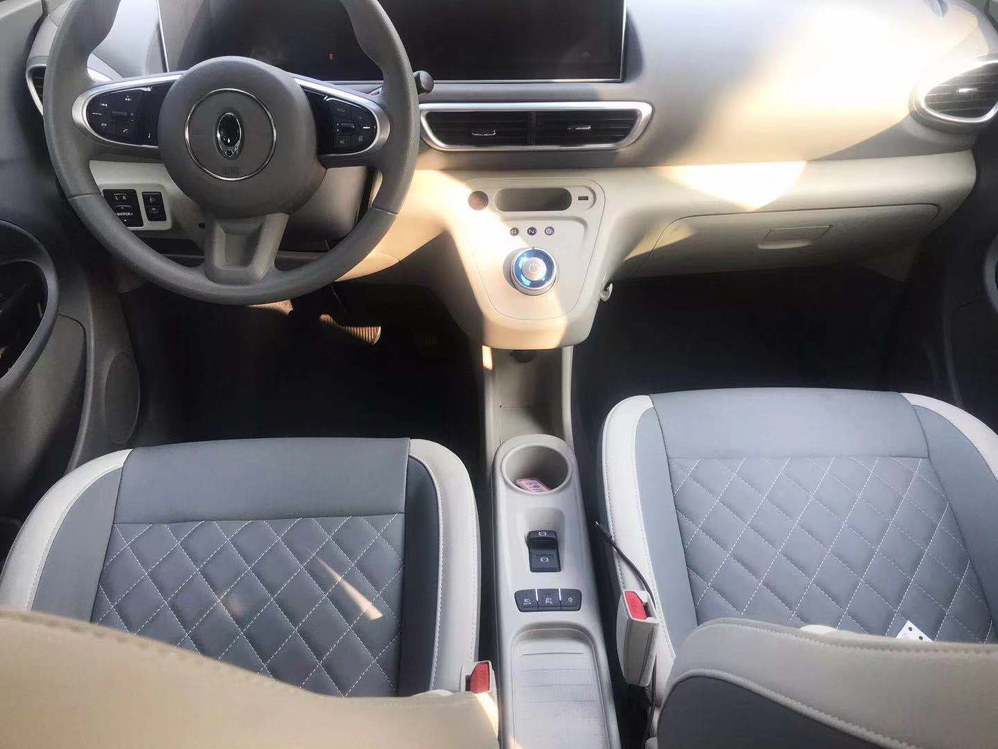 薛定谔的猫实测,欧拉白猫小野猫试驾