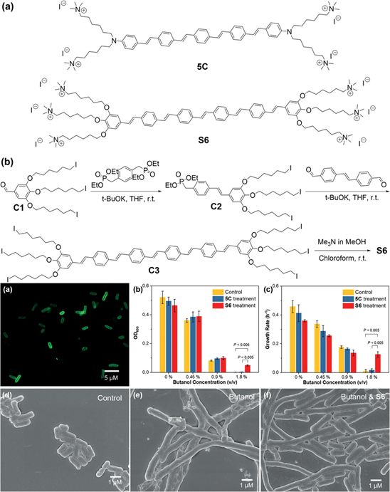 精选JACS/Angew12篇:树枝状大分子的最新成果大盘点