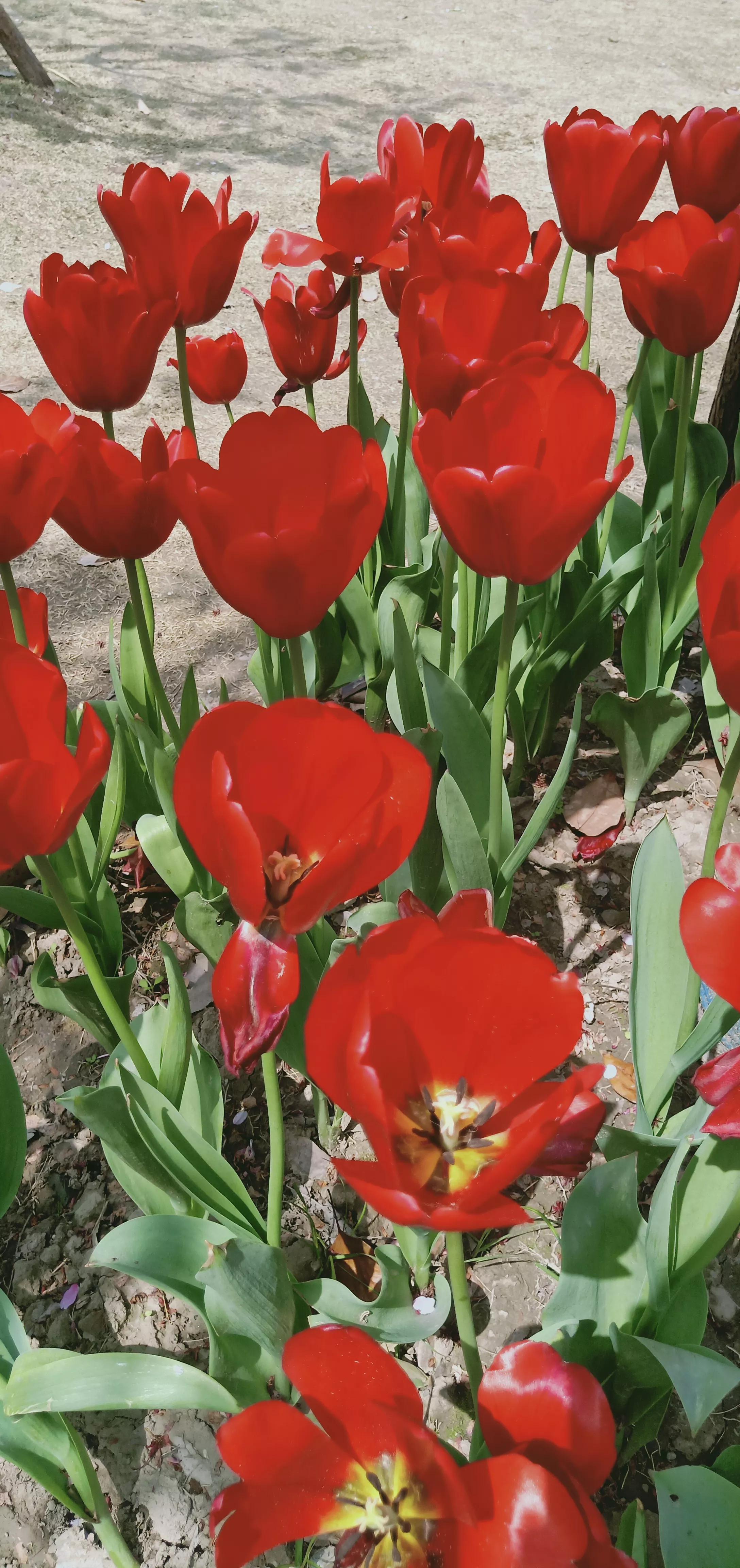 借钱那点事原版,借钱那点事