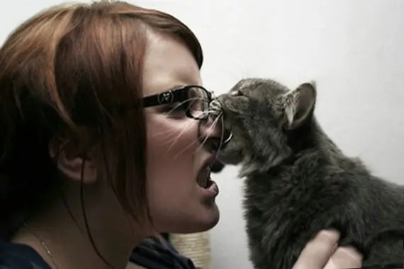 为什么看见猫就很讨厌,为什么猫那么让人讨厌