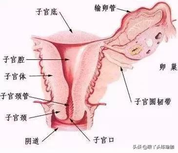 防止子宫疾病瑜伽,长期不良生活习惯能调理过来吗