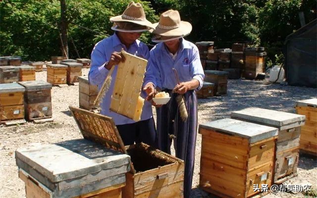 乾隆皇帝宠爱女人,乾隆皇帝宠爱七公主