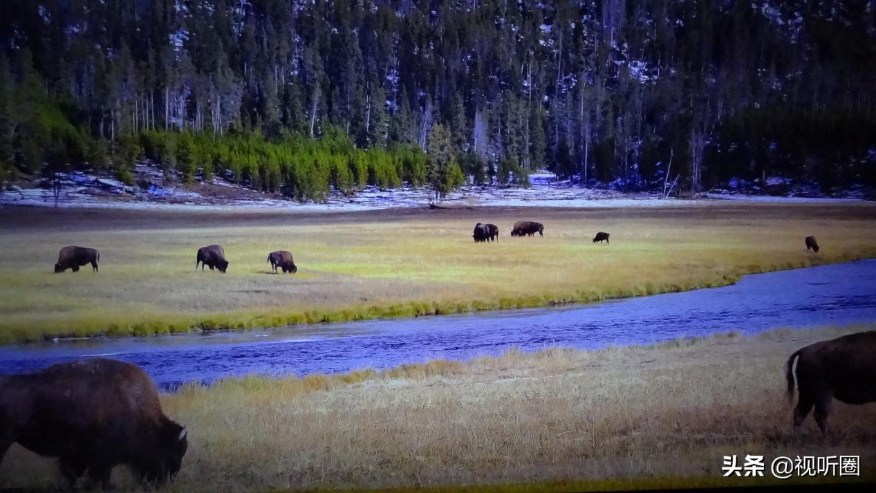redmi全新巨幕电视,98英寸redmi智能电视