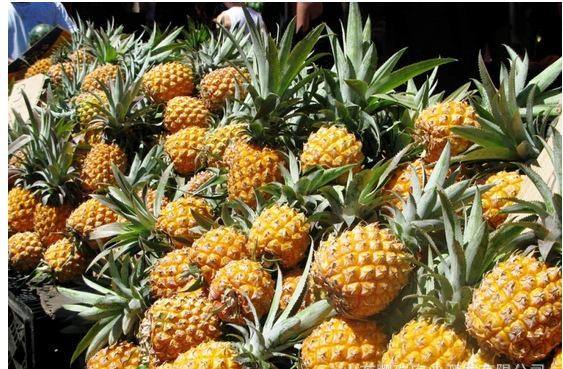 5月份的季节适合吃的水果有哪些,5月水果当季有哪些水果