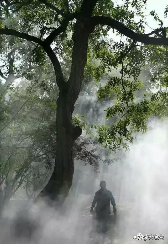 榆林有哪些网红打卡点,11月榆林适合去的网红打卡地