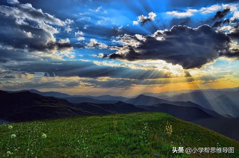 我最喜欢的一篇文章600字作文,我最喜欢的习作怎么写