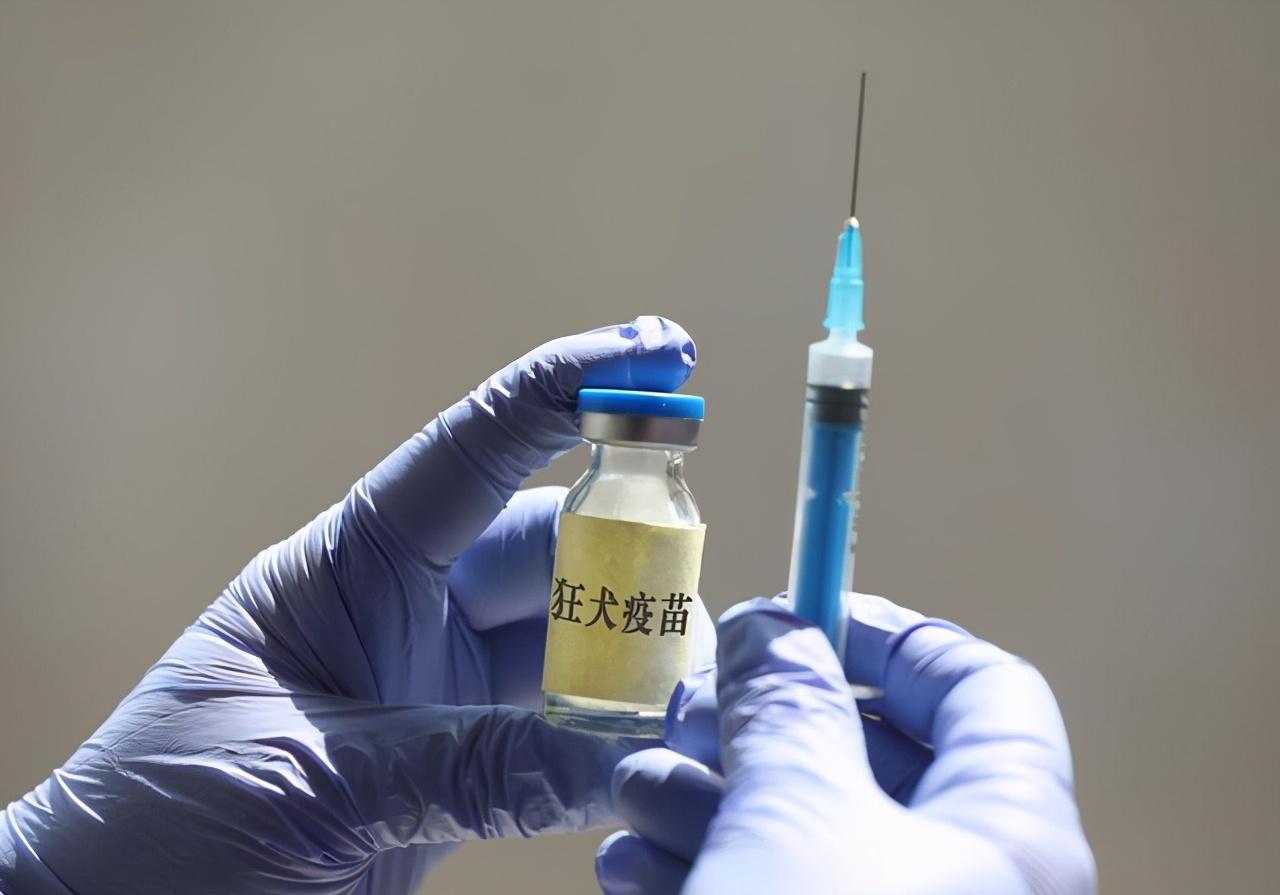 3岁孩子被狗狗咬伤照片,小孩被宠物狗咬伤新闻