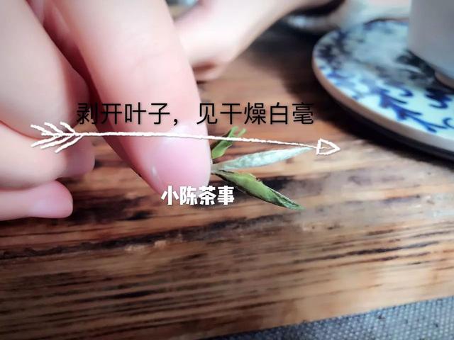 必懂的20个茶叶冷知识,五点冷知识