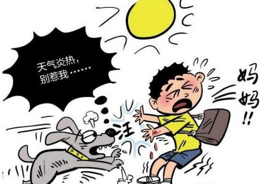 被流浪狗咬伤喂狗的赔偿,农村流浪狗咬伤人谁承担赔偿责任