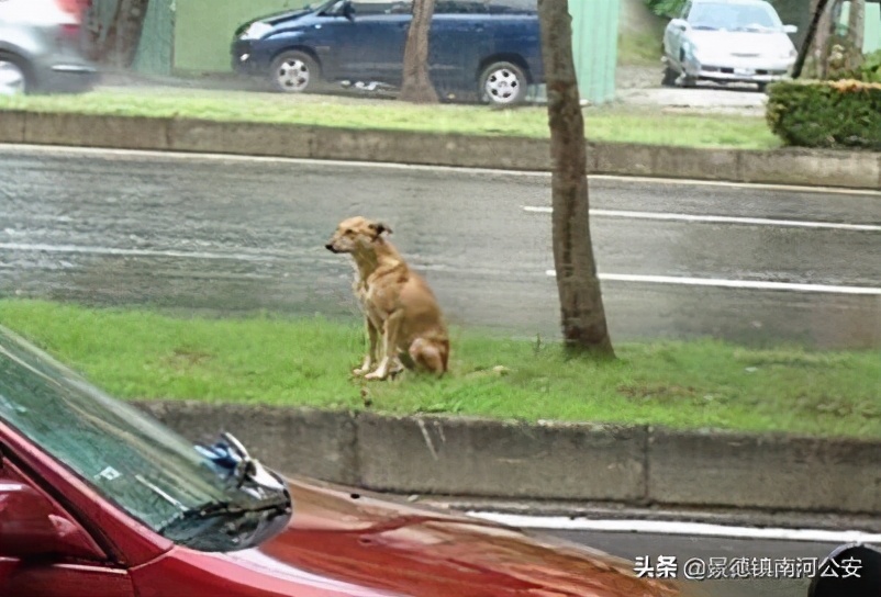 “割声带、截肢、电击,当爱变成我的噩梦”