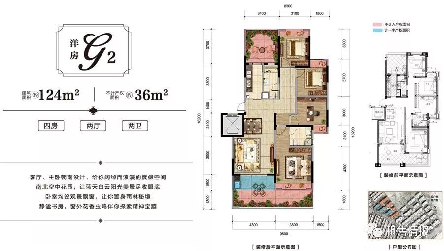 普洱茶分布在西双版纳,为什么西双版纳茶叶要叫普洱茶