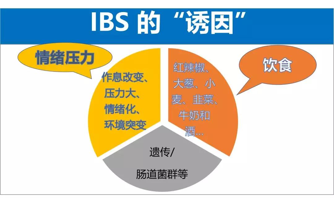 ibs肠易激综合征是浅表性胃炎吗,ibs肠易激综合征