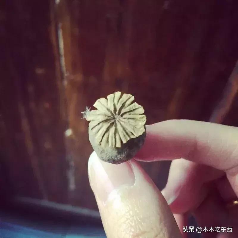 全国迷惑的特色美食,全国美食猎奇