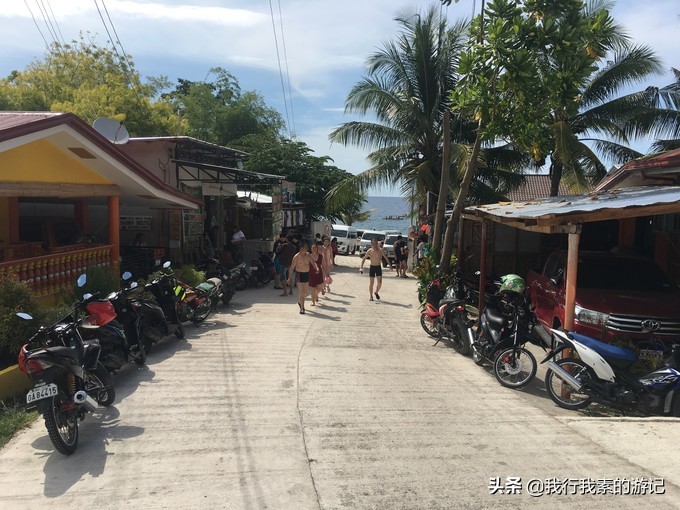 想去看鲸鲨？这里可以满足你