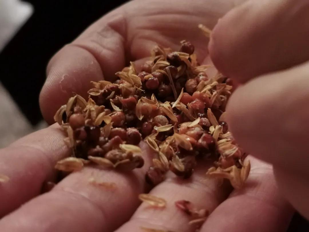 鄂尔多斯人,喝鄂尔多斯酒