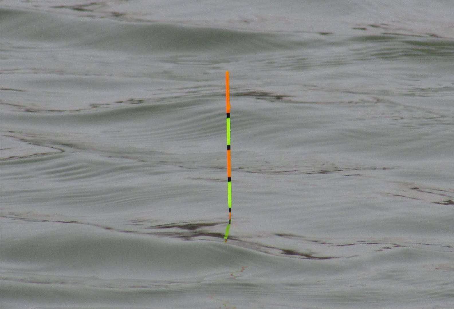 防止白条闹窝的方法,怎么避免白条底部闹窝