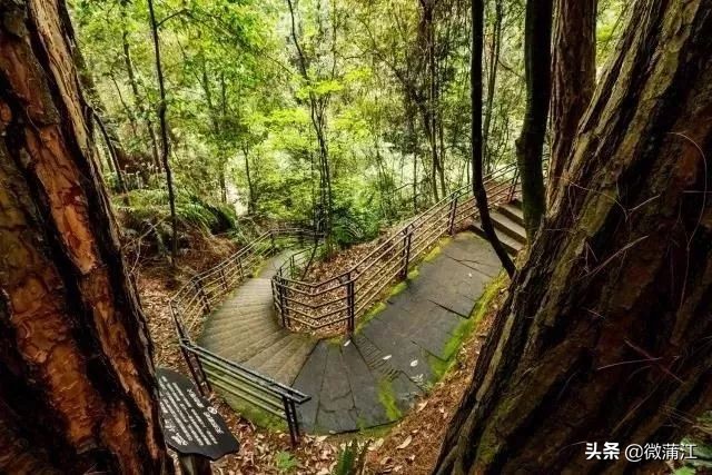 石象湖游览图片大全,石象湖自然风景