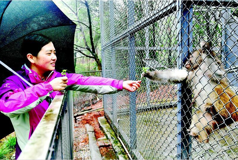 天使！她15年里先后救护放生5000多只野生动物