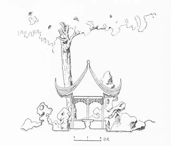 中国园林第一人，每个中国人都该谢谢他