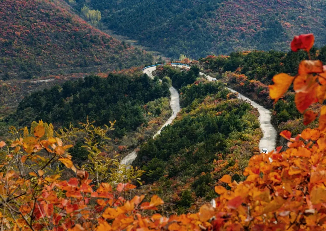 颜值惊艳神仙颜值,颜值爆表长相逆天