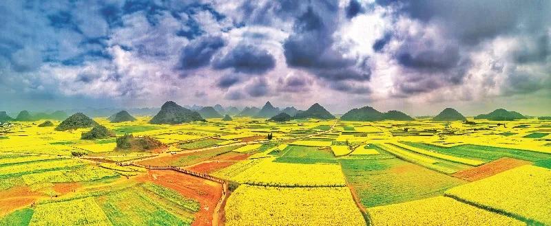 来云南一起看风景吧,来云南一起过年吧