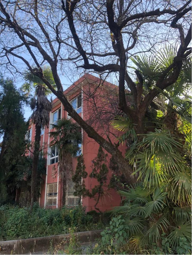 不应该消失京剧完整版,昆四中西山学校