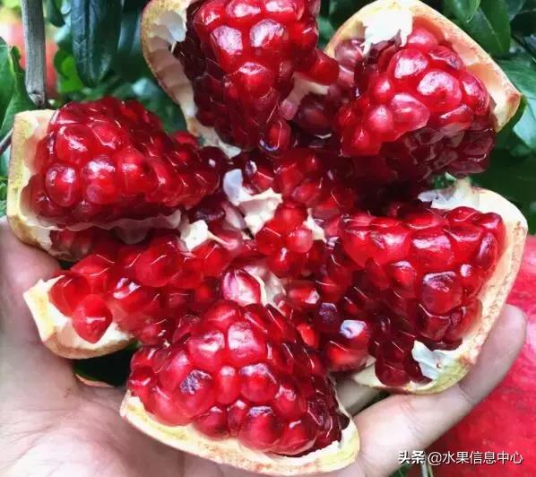 中国水果大全,中国水果大全图片和名字