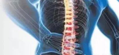 健身房你不知道名字的器械,健身房的十大常识