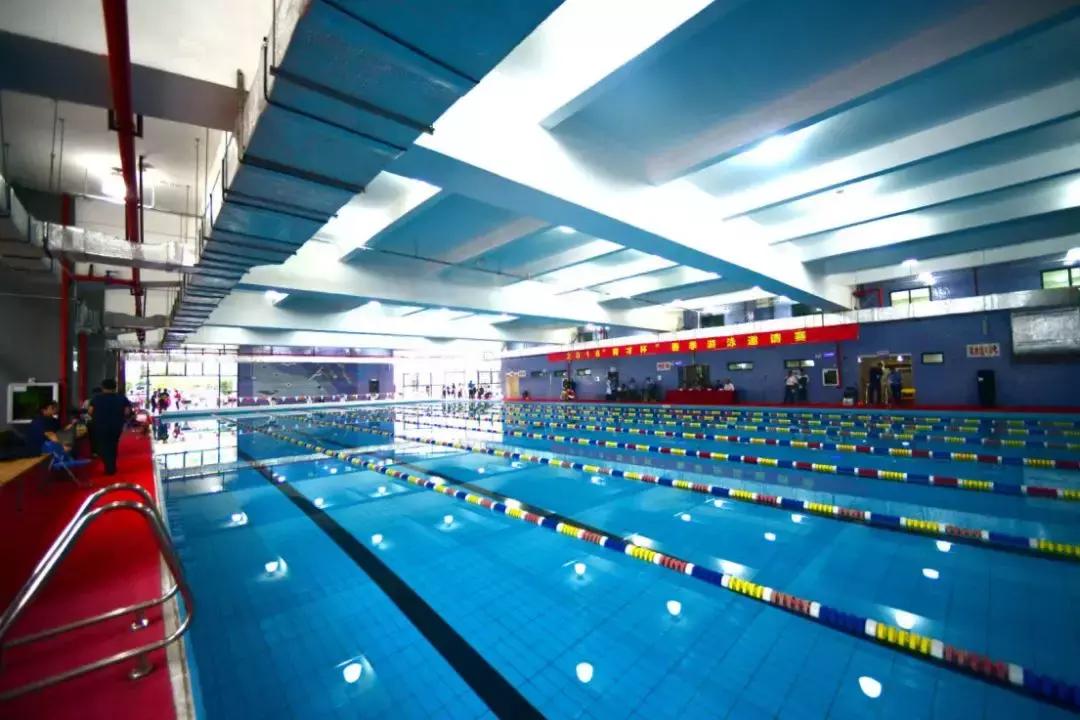 育才中学最后的冲刺,育才中学2019年小升初