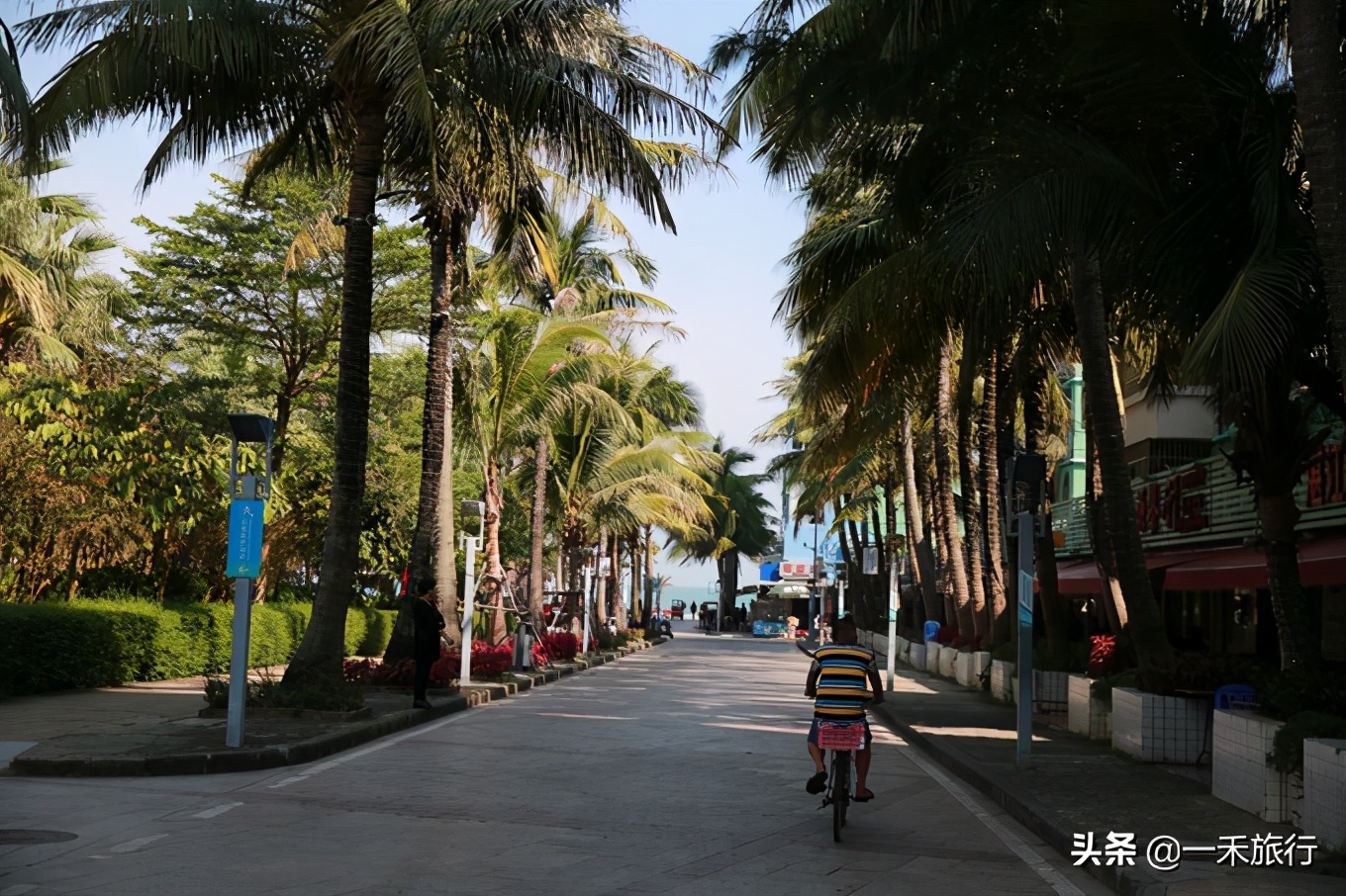 真实的外伶仃岛,广东外伶仃岛在哪里